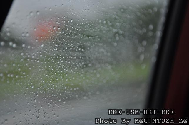 DSC_0889_resize.jpg